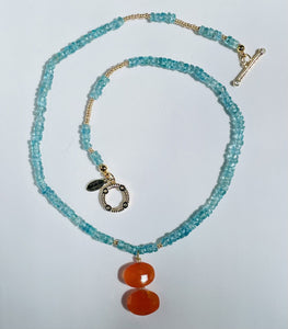 Apatite And Carnelian Charm Necklace  N48