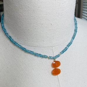 Apatite And Carnelian Charm Necklace  N48